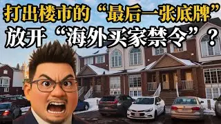 🇨🇦想学🇦🇺的救市政策，这背地里是想要救谁？视频最后看一套亏损46万的联排屋《投资数据与金融时评2026》