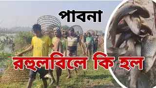 পাবনা রহুলবিলে মাছ শিকার করতে এসে,, সৈখিন শিকারী ভাইরা এসেছে, 