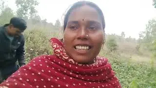 सकरकंदी निकाल रहे हैं।। Sakaar Kandi nikal rahe han