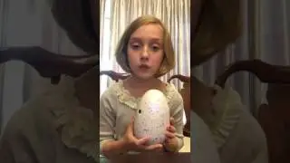 June 30, 2017 Glittering Garden Hatchimal Hatches!