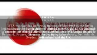 World Federation of Advertisers Top # 7 Facts