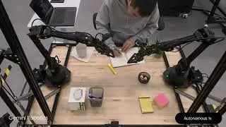 Gemini Robotics Demo: Desk Organization