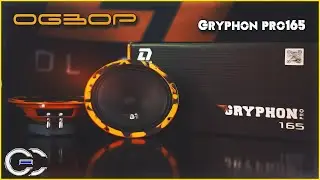 Обзор: Эстрада DL Audio Gryphon Pro 165