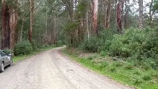Ghost Town Hunting 2 - Ryton, South Gippsland, Victoria.
