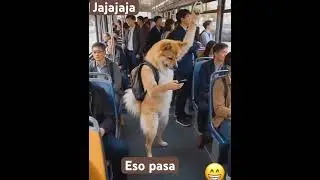 Jajajaja eso pasa en el bus 🚎 #subscribe #dalelike #funny #humorvibes