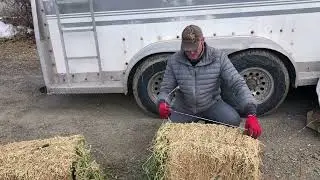 Splitting a Hay Bale for Packing on a Mule or Horse