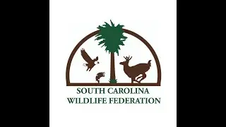 SC Wildlife Federation Winter Waterfowl Webinar