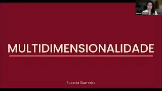 4. MULTIDIMENSIONALIDADE