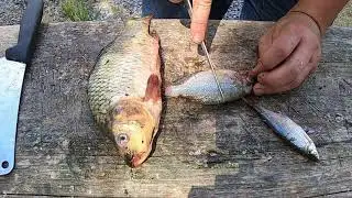 How to Make Cut Bait