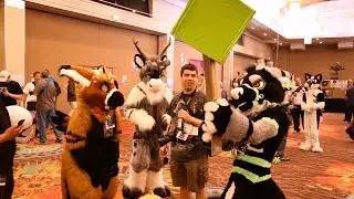 Fursuiting Fun at BLFC 2016 - Kijani Lion Productions