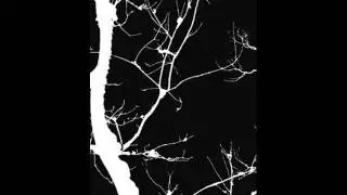 Defixiones - Void of....