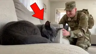 Soldier Dads Surprise Cats Heartbreaking & Emotional Cat Homecomings! 🐾❤️