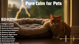 Top Natural Solutions for Thunder & Firework Anxiety in Dogs and Cats