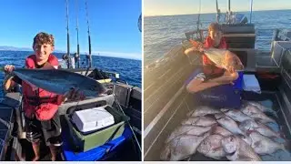 INSANE Top of the South Island: Kingfish & Snapper All-day mission!!