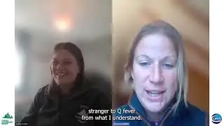 Q fever in humans