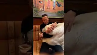 あらら〜〜〜