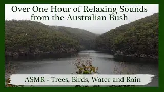 Relaxing Australian Bush Sounds - Birds - Water - Rain - 9 Different Views - Over One Hour! ASMR