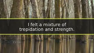 Betrayed to Rise: My Journey of Revenge and Redemption