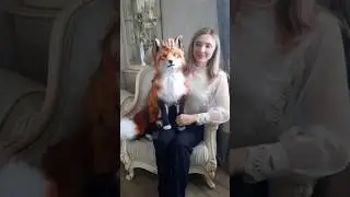 Реалистичная плюшевая игрушка Лиса Алиса. #handmadeplush #fox #foxlife