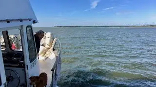 Cruising 
