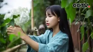 如何看待自己走红？未来有何规划？李子柒这样说 20211022 |《鲁健访谈》CCTV中文国际