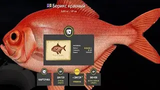📢СТРИМ РР4🔥ДОБРОЕ УТРО ВТОРНИКА.ВЫХОДИМ НА ОХОТУ ЗА РЫБОЙ🔥РУССКАЯ РЫБАЛКА 4