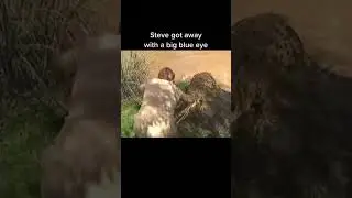 So close! DAMN lucky #attack #graham#steveirwin #crocodile #fyp #australia #wildlife #animals #R.I.P