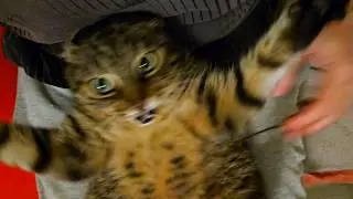 They&rsquo;re attacking from both sides!
