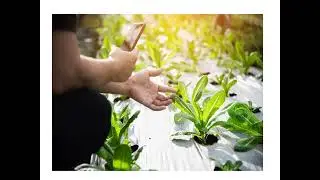 What Does the Next Agricultural Transformation Require Beyond Innovation?