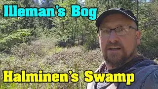 The Malcolm Islander - Halminen's Swamp aka Illeman's Bog.