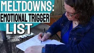 Autism Meltdowns Emotional Triggers