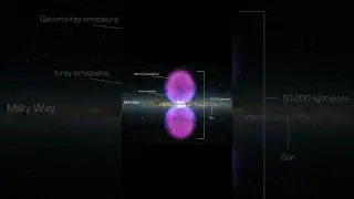 The Giant Bubbles Above Our Galaxy