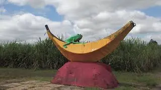 Qld Trip 4