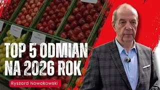 TOP 5 odmian na 2026 rok – co chcą sadzić sadownicy a co polecają szkółkarze?