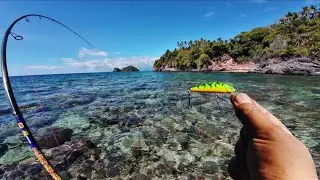 STRIKE DI GERBANG SAMUDRA! Casting Minnow di Karang Dangkal Pulau Lembeh