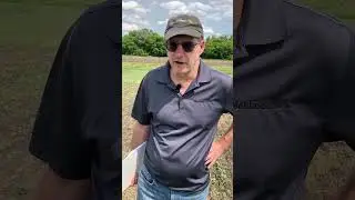 Manitoba entomologist John Gavloski on monitoring for pea leaf weevils