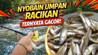 Teknik Mancing Wader Pari Pakai Umpan Racikan Di Jamin Gacorr!!!