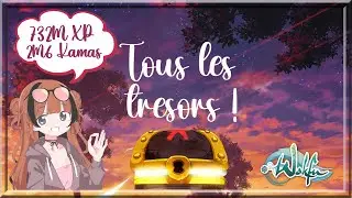 Tous les coffres aux trésors sur Wakfu ! [732M XP/2M6 KAMAS]