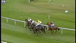 2003 Tingle Creek Trophy Moscow Flyer Includes Replay