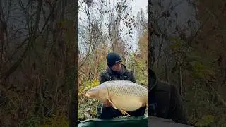 &bull;🍂🍁🍂#carpfishing #carp #goodvibes #fishing #carpstories #autumn #czechrepublic