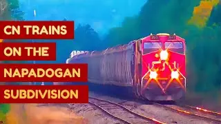 Catching 5 Trains on the CN Napadogan Subdivision!