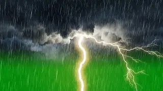 Realistic Rain Falling Effect Green Screen