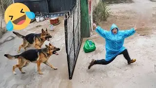 Instant Regret Fails Compilation 2026 | Funny & Hilarious People Life 😆 Best Fail Of The Week #52