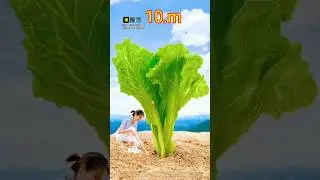 Creative videography mobile 📲😱🚀#creative #photography #videography #shorts #music