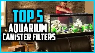 ✅ Top 5 Best Aquarium Canister Filters 2026