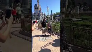 Предложение поворота сюжета в Disney World 😱