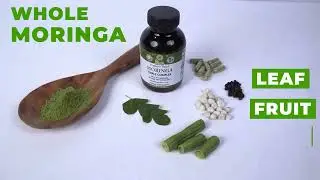 🌿 Moringa Triple Complex &ndash; Your Daily Dose of Natural Energy & Wellness!