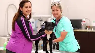 Del Rio Community Dog Park Fundraising Campaign