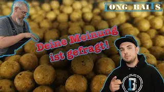 Long Baits // Alles auf Anfang //