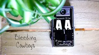 Bleeding Cowboy - Anonymous Amp compensated DI-Box (speaker simulation) [SofaJams]